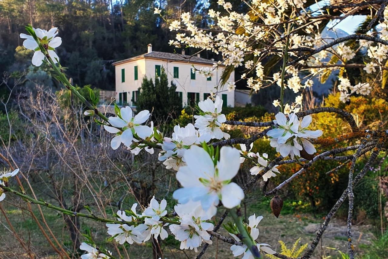 Agroturisme Finca Sa Maniga Летний дом